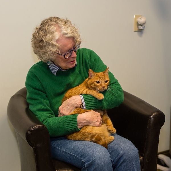 veterinary behaviorist, pet problems, pet behavior problems, dog anxiety, separation anxiety, cat problems, pee, urinating outside of box - The Behavior Clinic, Ohio